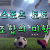 카지노맨스가 알려주는 스포츠토토 조합의 미학
